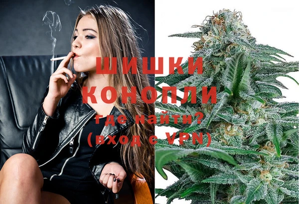 дживик Верхний Тагил