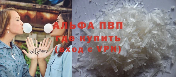 дживик Верхний Тагил