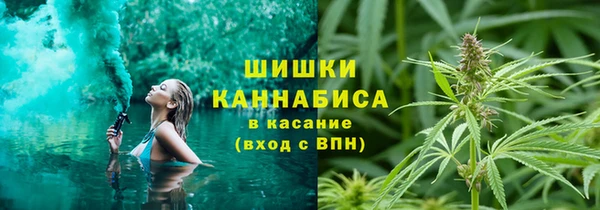 ПСИЛОЦИБИНОВЫЕ ГРИБЫ Верхнеуральск
