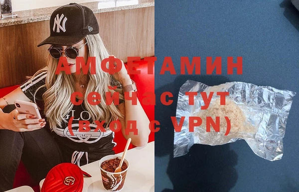дживик Верхний Тагил